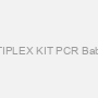 MULTIPLEX KIT PCR Babesia & Theileria PCR kit